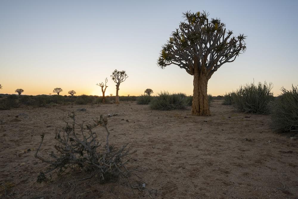 Canyon Roadhouse Fish River Canyon Bagian luar foto